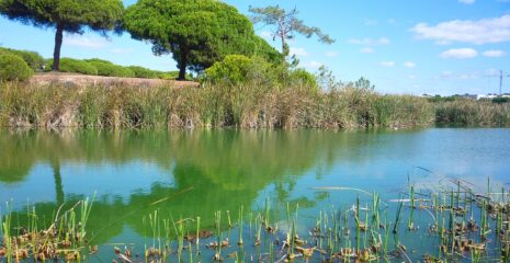 Ria Formosa Nature Park